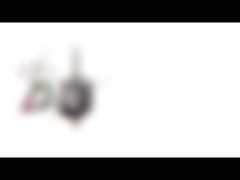 NEMA 8 20mm Çap Bipolar Hibrit Step Motor