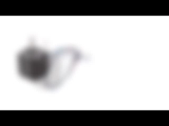 NEMA 8 20mm Çap Bipolar Hibrit Step Motor