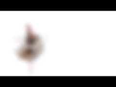 10mm Mini Daimi Mıknatıslı Step Motor 5v 2 Faz 18 Derece