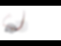 35 Mm Çaplı ve 15 Derece Adım Açılı Yüksek İlerlemeli İki Fazlı Step Motor